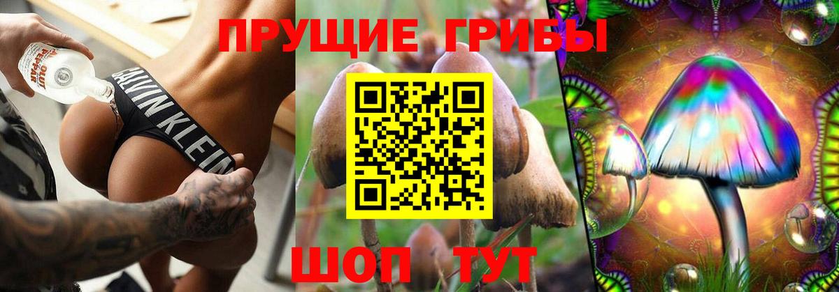 Отрадное  Псилоцибиновые грибы Psilocybine cubensis  Вход с VPN  Псилоцибиновые грибы прущие грибы 